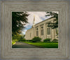 Boston Temple Trees Of Life Panoramic