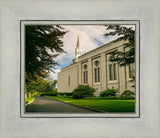 Boston Temple Trees Of Life Panoramic