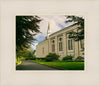 Boston Temple Trees Of Life Panoramic