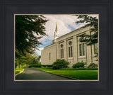 Boston Temple Trees Of Life Panoramic