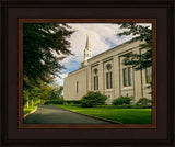 Boston Temple Trees Of Life Panoramic