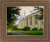 Boston Temple Trees Of Life Panoramic