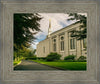 Boston Temple Trees Of Life Panoramic