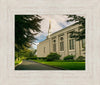 Boston Temple Trees Of Life Panoramic