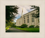 Boston Temple Trees Of Life Panoramic