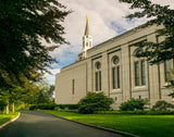 Boston Temple Trees Of Life Panoramic