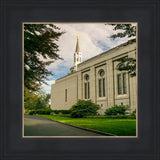 Boston Temple Trees Of Life Panoramic