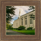 Boston Temple Trees Of Life Panoramic