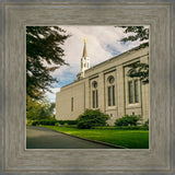 Boston Temple Trees Of Life Panoramic