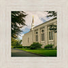 Boston Temple Trees Of Life Panoramic