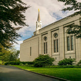 Boston Temple Trees Of Life Panoramic