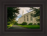 Boston Temple Trees Of Life Panoramic