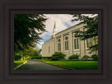 Boston Temple Trees Of Life Panoramic