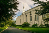 Boston Temple Trees Of Life Panoramic