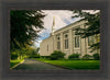 Boston Temple Trees Of Life Panoramic