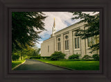 Boston Temple Trees Of Life Panoramic