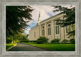 Boston Temple Trees Of Life Panoramic