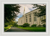 Boston Temple Trees Of Life Panoramic