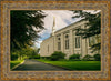 Boston Temple Trees Of Life Panoramic