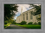 Boston Temple Trees Of Life Panoramic