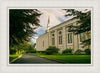 Boston Temple Trees Of Life Panoramic