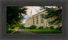 Boston Temple Trees Of Life Panoramic