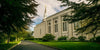 Boston Temple Trees Of Life Panoramic