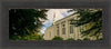 Boston Temple Trees Of Life Panoramic