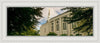 Boston Temple Trees Of Life Panoramic