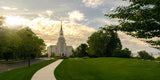 Boston Temple Summer Glow