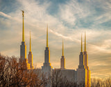 Golden Hour Washington DC Temple