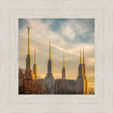 Golden Hour Washington DC Temple