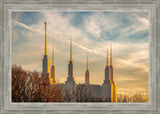 Golden Hour Washington DC Temple