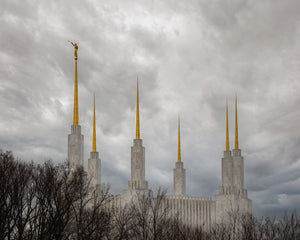 Washington DC Through Life's Storms