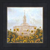 Pocatello With Sunflowers