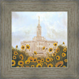 Pocatello With Sunflowers