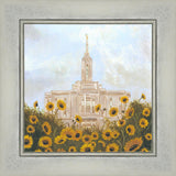 Pocatello With Sunflowers