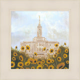 Pocatello With Sunflowers