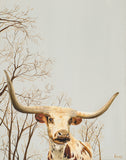 Longhorn