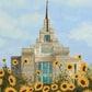 Kyiv Temple with Sunflowers