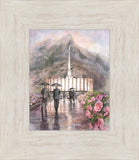 Refuge From The Storm - Provo Temple