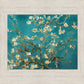 Blossoming Almond