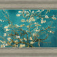 Blossoming Almond