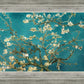 Blossoming Almond