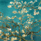Blossoming Almond