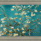Blossoming Almond