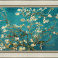Blossoming Almond