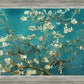 Blossoming Almond