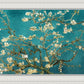 Blossoming Almond