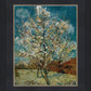 Peach Tree In Blossom